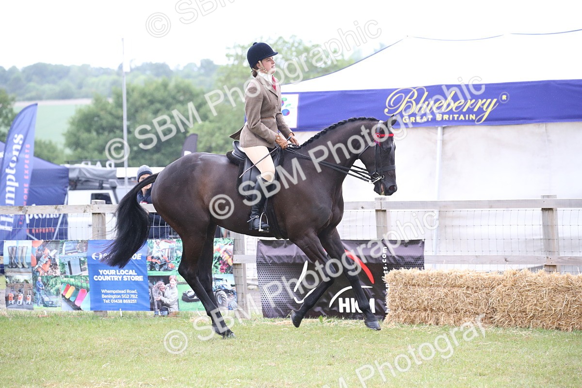SBM_11430 - Class 94 - LIHS BSHA Racehorse to Showhorse