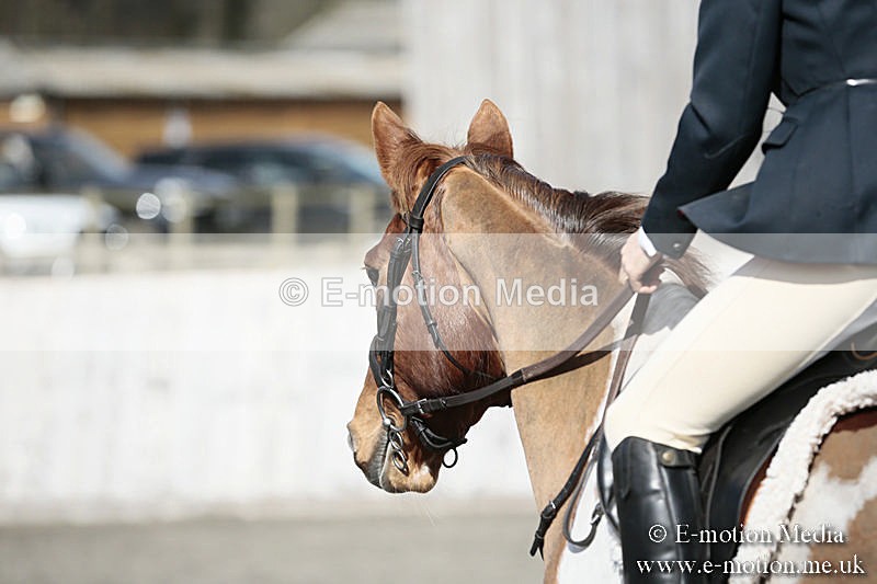 BVRC SJ 170319 297 - Bourne Valley Riding Club Showjumping 17/03/19