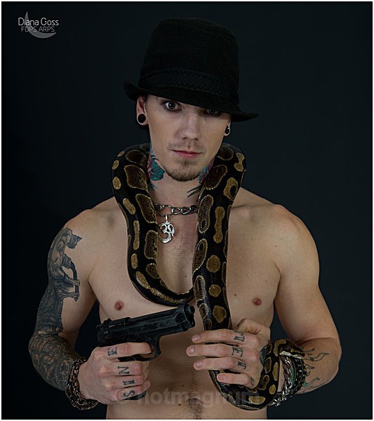 baby snakes - STUDIO