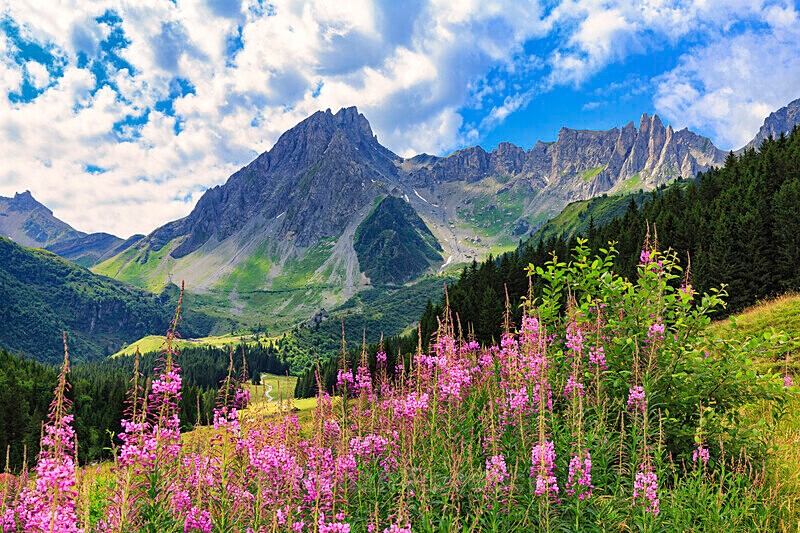 Aguille de la Pennaz - European Landscapes