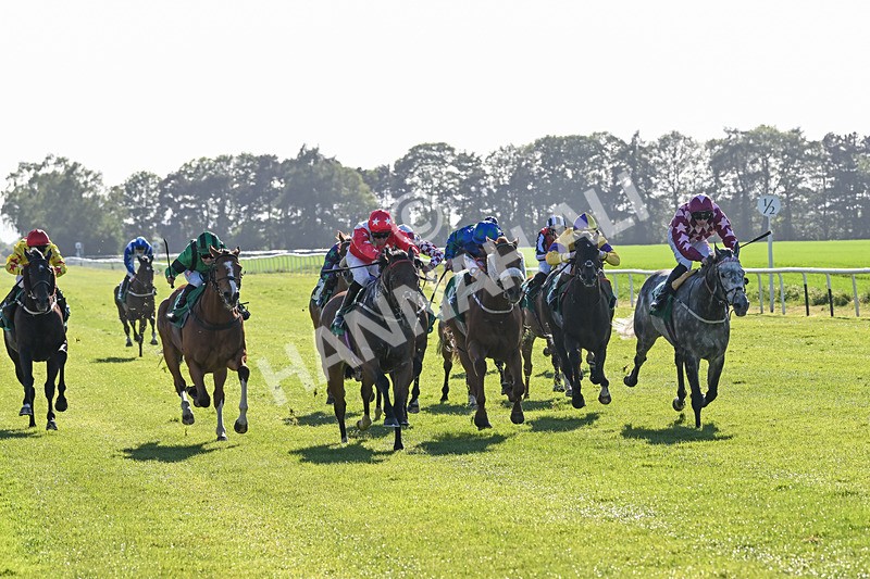 170525-Race 8-So Grateful-8991 - Race 8