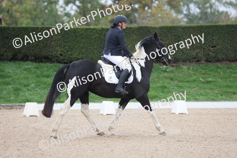 20251011-0011 - Class 1 - Intro 3