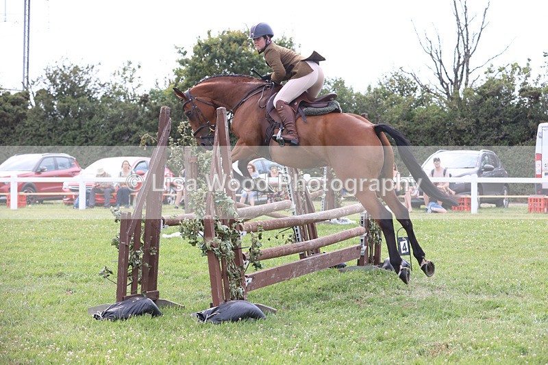 JPP_4095 - Class 24: Working Hunter 90cm
