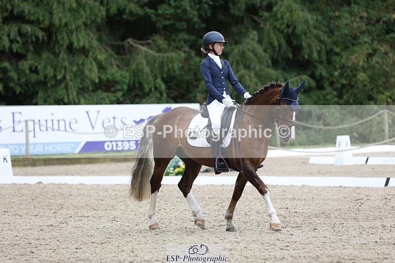230812-120328-03918 - Cls 5 Novice Bronze 11.15 to 12.50 break