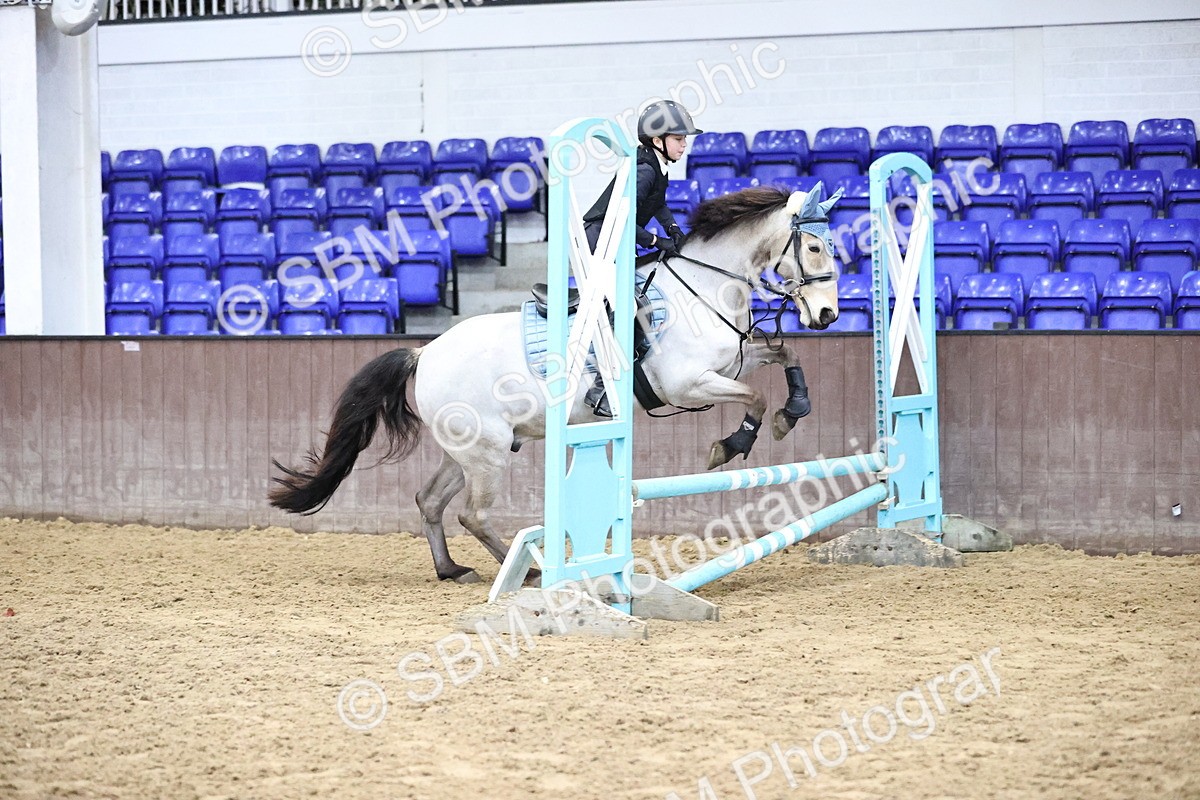 SBM_001085 - class 3 - 60cm