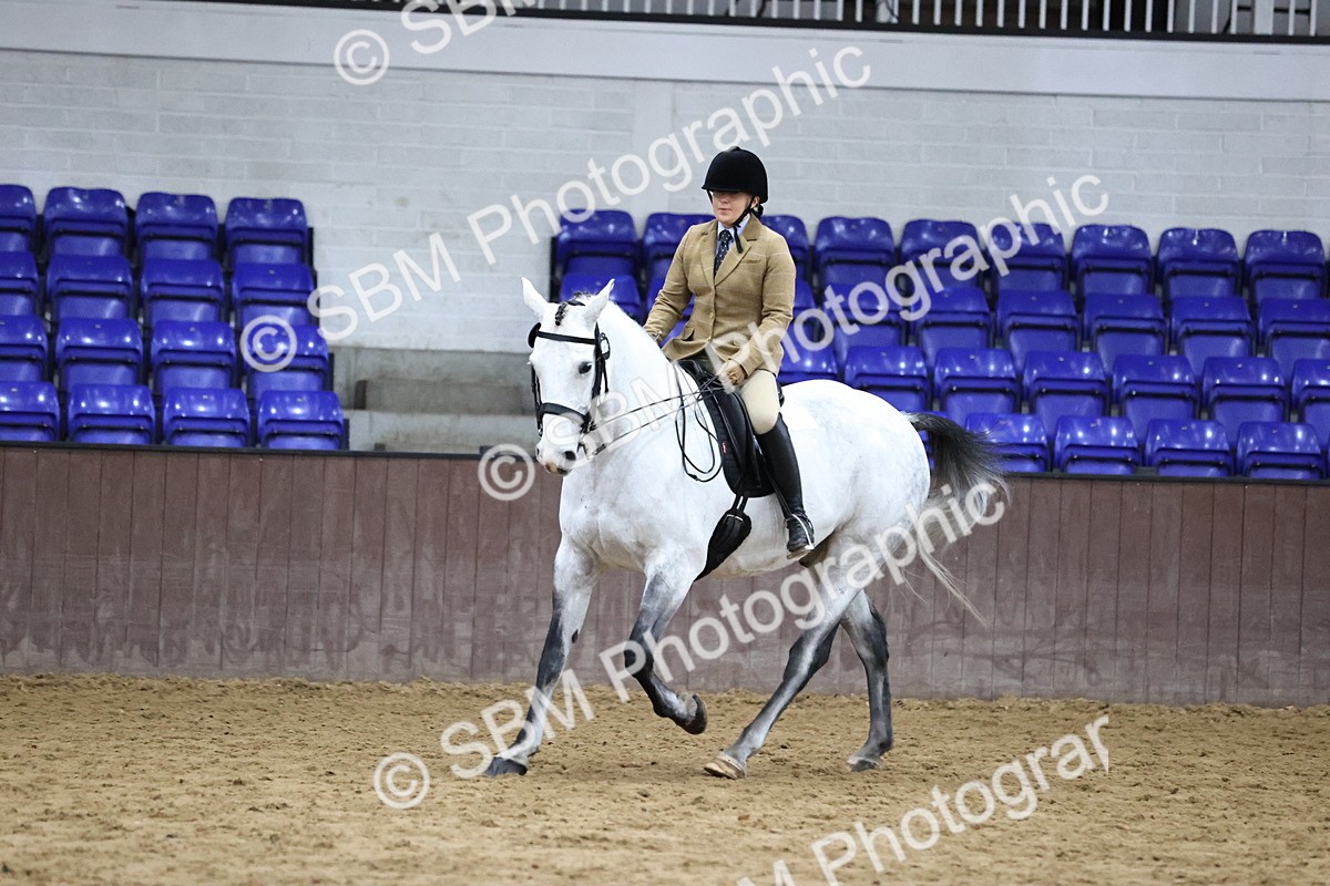 SBM_6357 - Class 45-42 - Ridden Irish Breeds-Ridden Cob