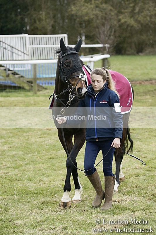 PtP 110318 93 - Hampshire Hunt Point-to-Point Hackwood Park 11/03/18