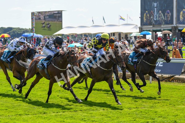 160623-Race 2-Celestial Flight-0304 - Race 2 2.25pm SKF Rous Selling Stakes