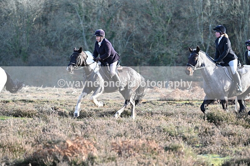 WJ7_7966 - Line 3 (no line 4 or 5)