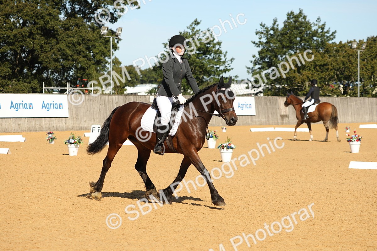 SBM_18793 - D10 - Small Tour Championship - Prelim 2