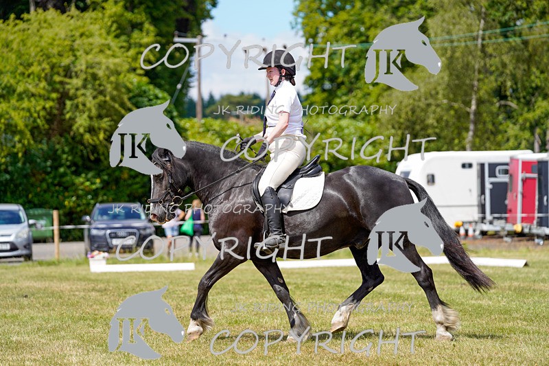 _DSC1288 - CLASS 4 NOVICE 1