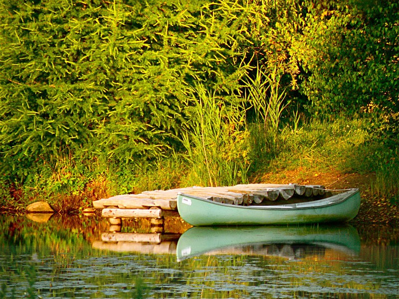 - Water Wood Earth