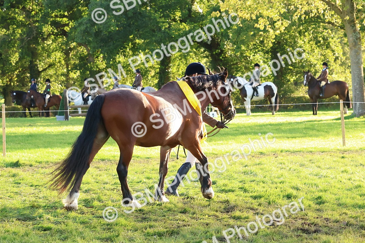 SBM_53117 - Veteran Supreme Championship