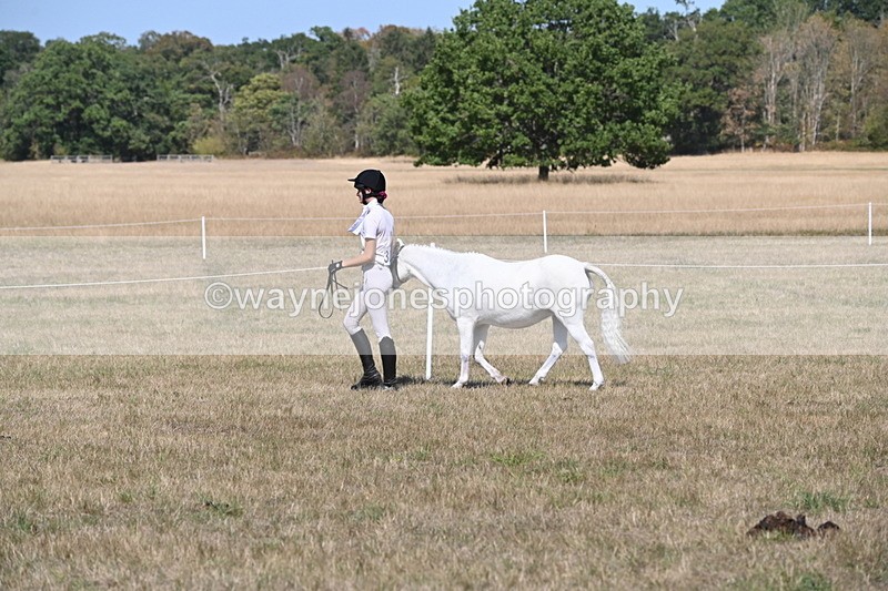 WJ6_9420 - Class 40 Cheekiest Pony/Horse