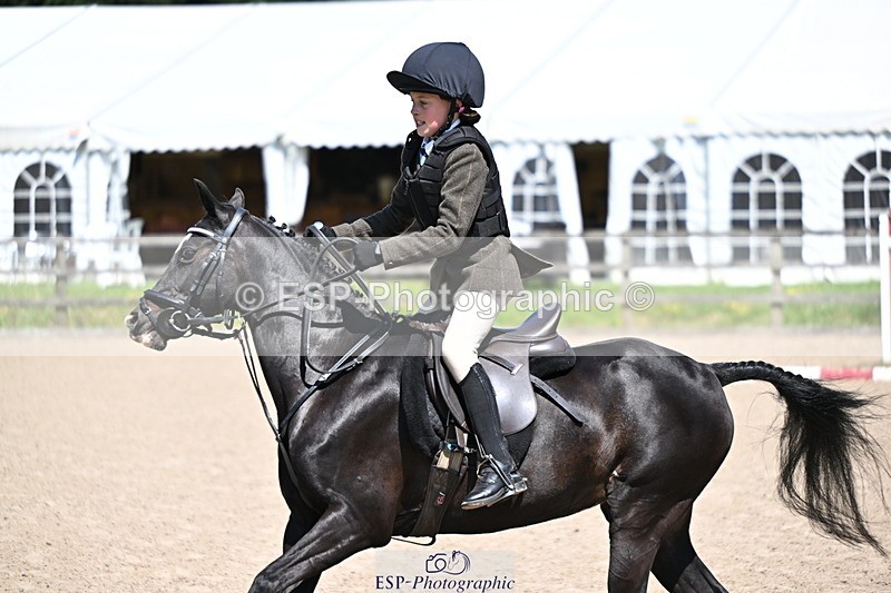 240729B-121154-02602 - Showjumping Competition