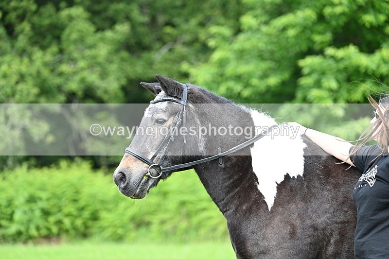 WJ7_1630 - Class 11 Condition & Turnout