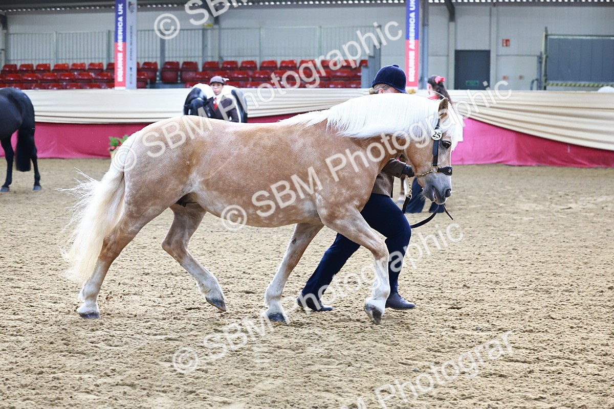 SBM_21709 - Class 901 - Supreme Final - IH  Diamond