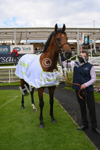 yr12052021r3-49 - Race 3 2.40pm Duke of York Clipper Logistics Stakes