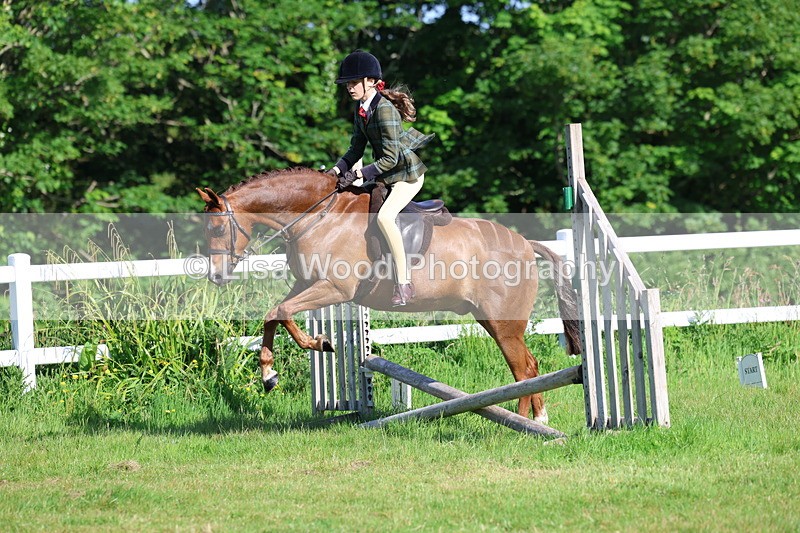 3E7A5901 - Class 27: Novice Working Hunter Pony