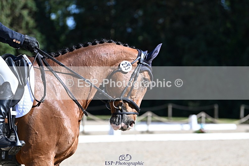 250522A-162553-04960 - C-233-Abbie.Burbidge-FEELING.FANTASTIC