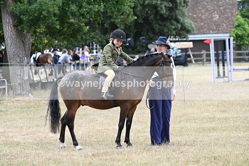 WJ7_0441 - Class 6 Ridden Mountain and Moorland