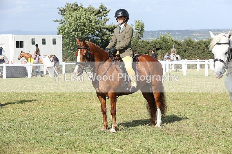 JPP_2967 - Class 20: Working Hunter 70cm