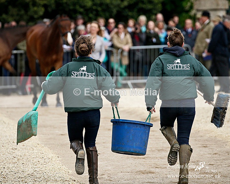 _LEZ3004a - Equestrian