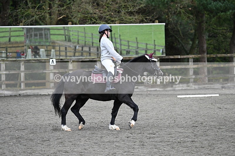 WJ7_4669 - Time 11:20 to 11:32