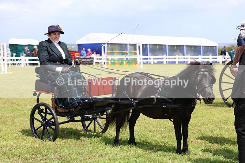 3E7A2767 - Class 12: Open Driving