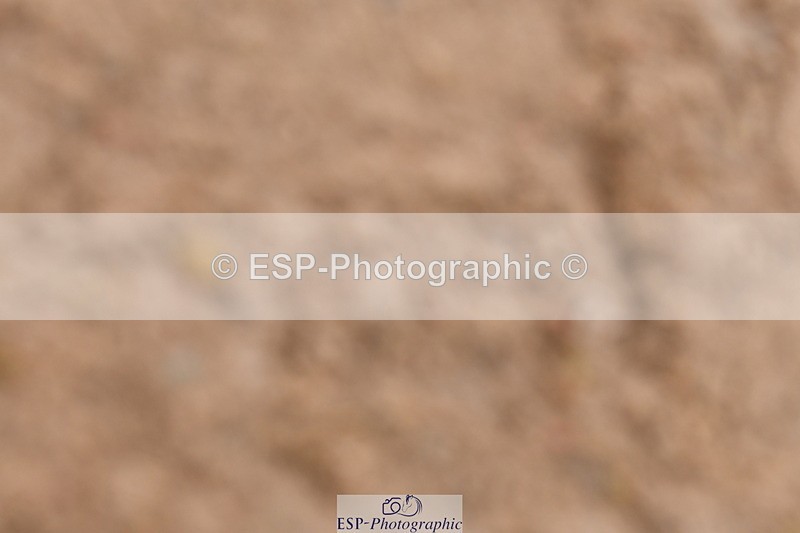 240121A-114951-00681 - Cls 7+8 Elementary 45 and 59