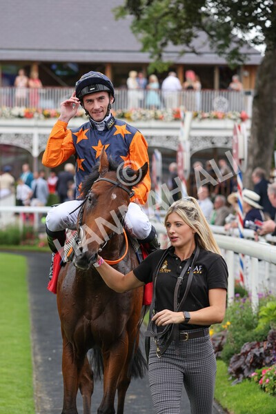 yr19082021r2-37 - Race 2 2.25pm Goffs UK Premier Yearling Stakes