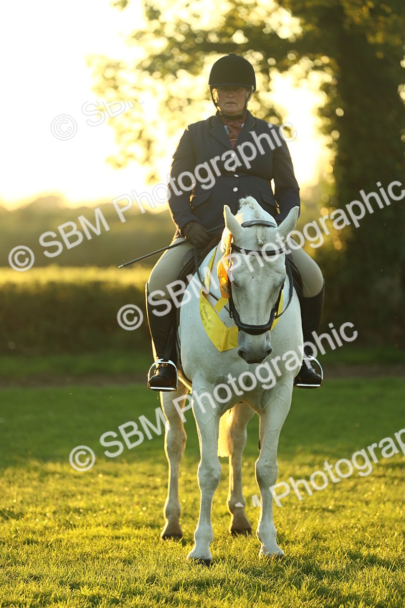 SBM_56636 - Fun & Versatile Supreme Championship