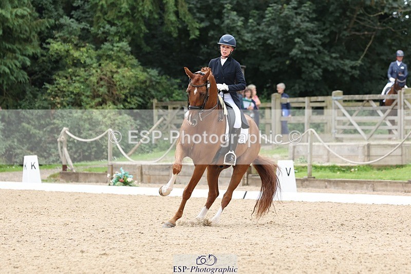 240810-133417-03342 - 188-Amanda.Towle.Shaw-Rockwood.Virtue