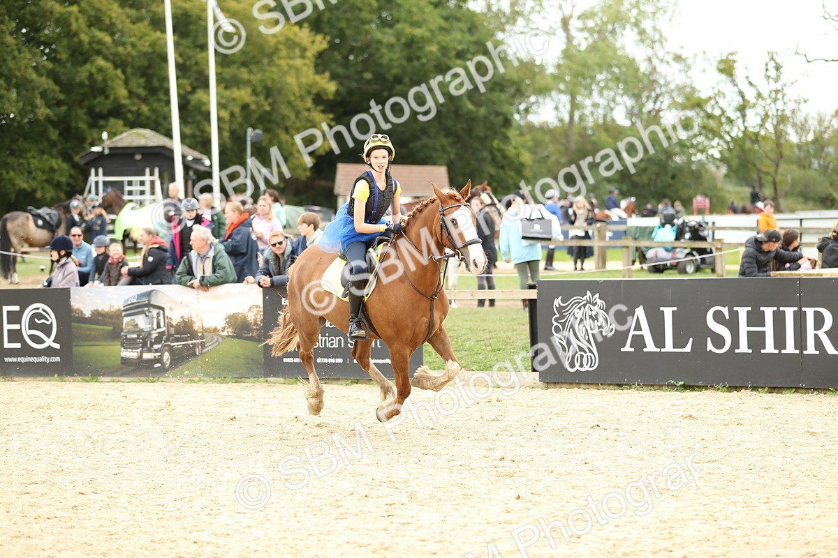 SBM_66135 - J48 - Pairs Jumping Open 70cm & 85cm