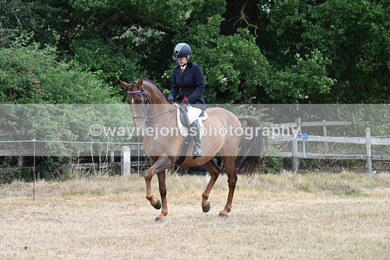 WJ7_0825 - Class 7 Riding Club Show Horse