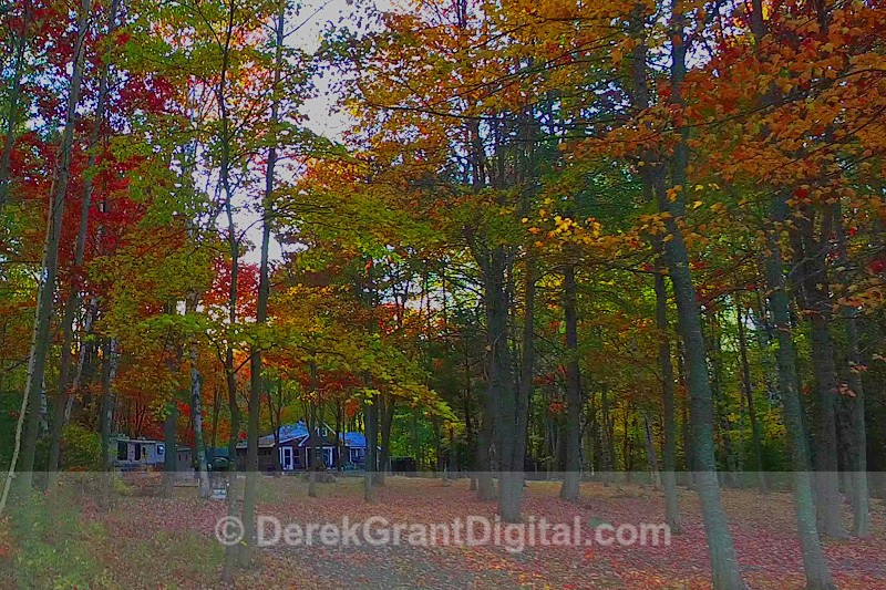 Country Camp in Autumn - New Brunswick Canada Fall Foliage - Autumn Foliage