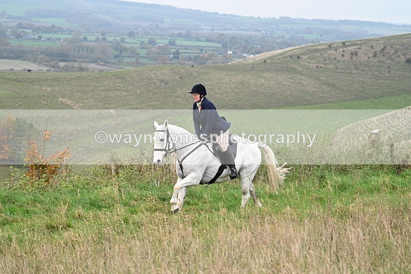 WJ7_0070 - Camera 1 & Last fence