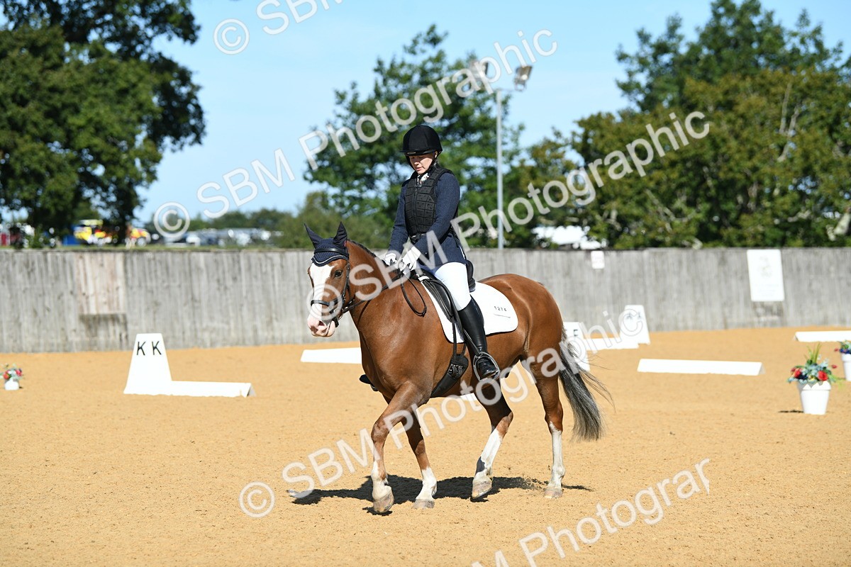 SBM_18136 - D4 - Small Tour Championship - Intro B