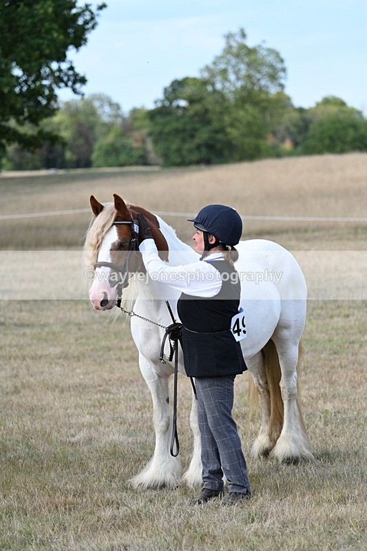 WJ7_8342 - In-hand Championship