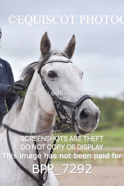 BPP_7292 - CLASS 5 Senior Foxhunter/ 1.20m Open