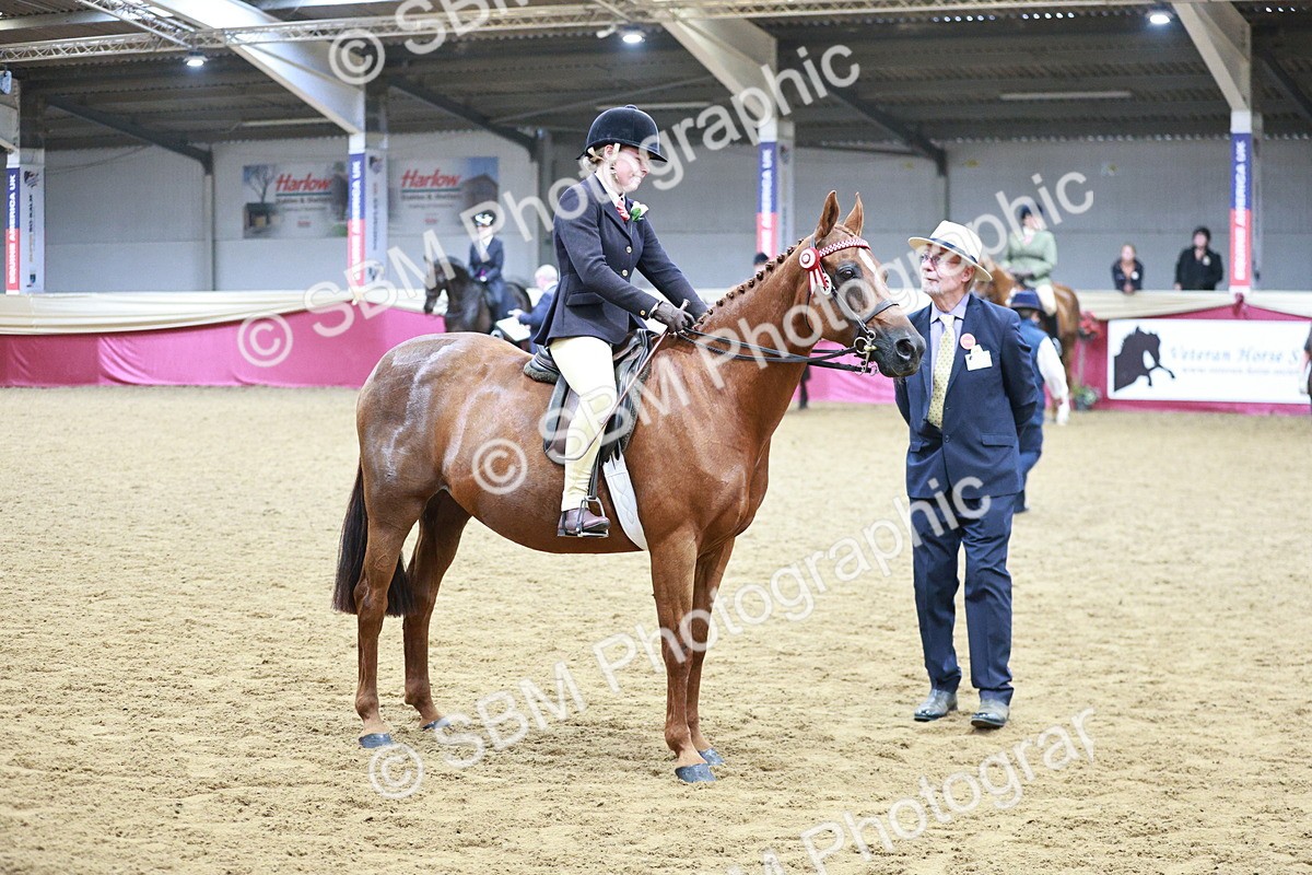 SBM_03448 - Class 6A Area Ridden Pre-Vet
