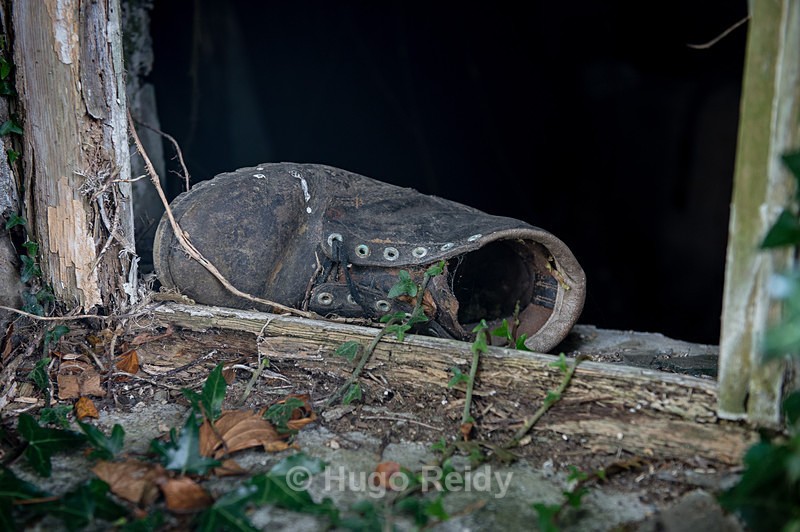  - Stand Still In Time