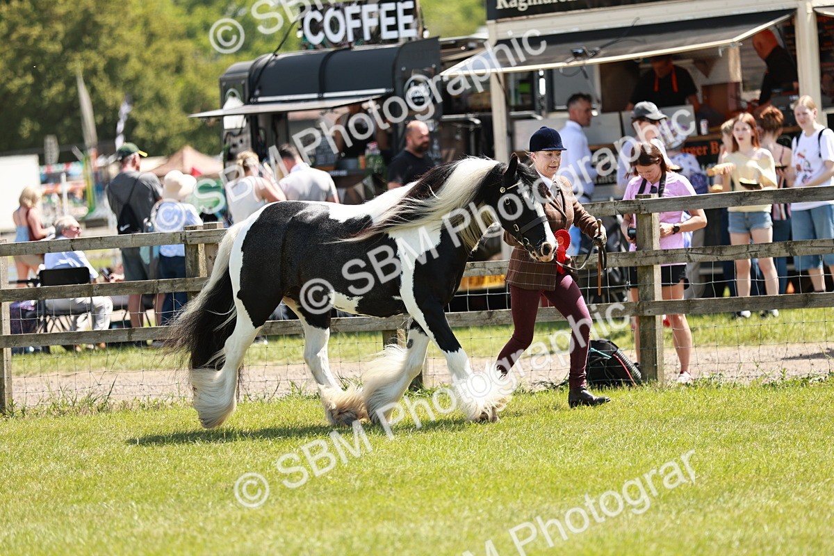 SBM_05497 - Class 41-45 - Riding Pony-Hunter Pony Breeding