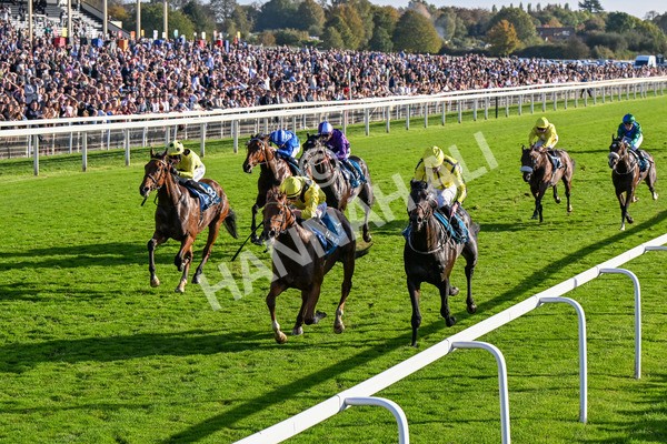 111025-Race 5-Morshdi-0544 - Race 5 Coral 'We're Here For It' EBF Maiden Stakes at York