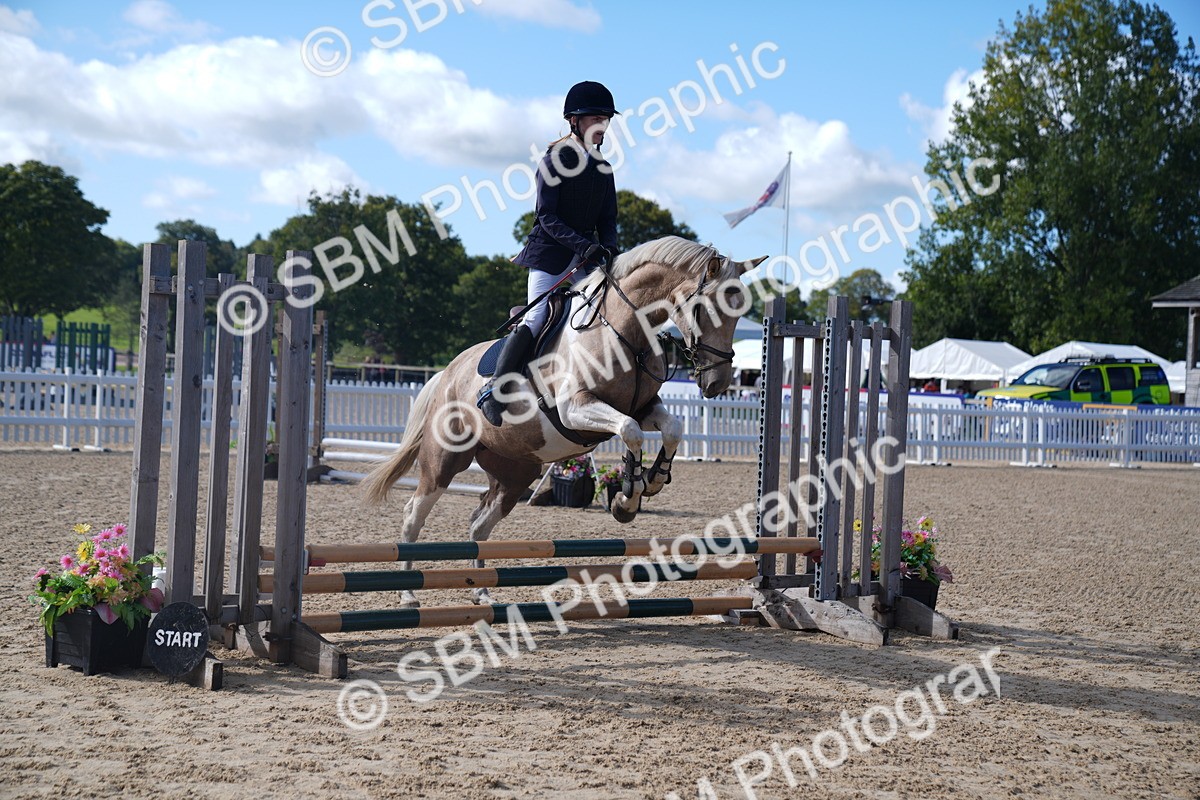 SBM_02382 - J54 Clear Round 45cm