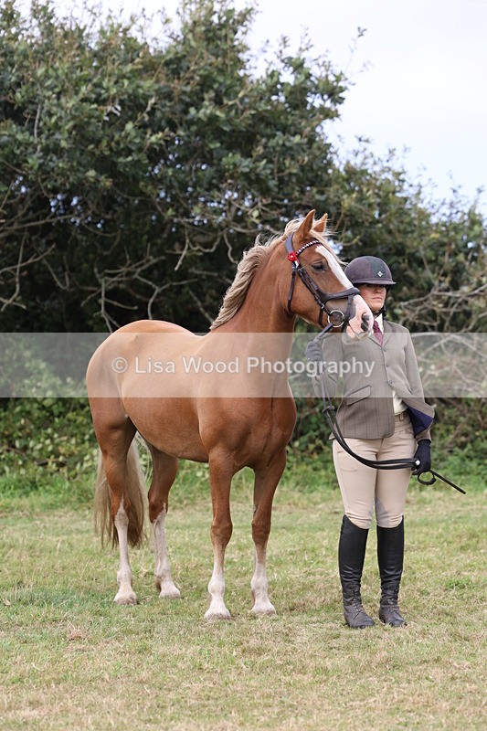 3E7A4652 - Class 16: Best Grass Kept