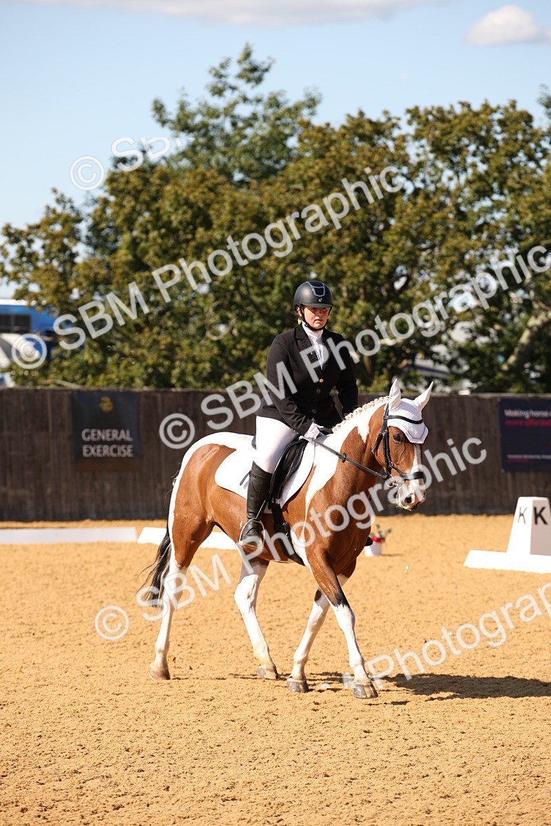 SBM_24196 - D5 - Small Tour Championship - Intro C