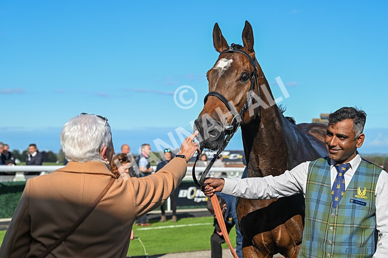 240425-Race 7-Mister Daydream-1839 - Race 7