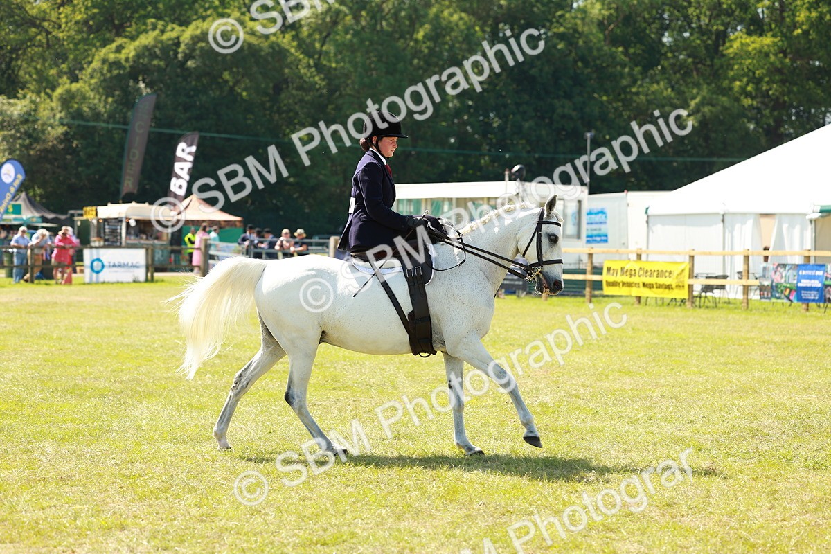 SBM_13354 - Class 70-71 - Side Saddle
