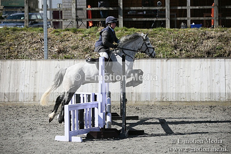 BVRC SJ 170319 312 - Bourne Valley Riding Club Showjumping 17/03/19
